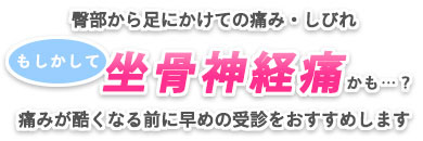 臀部から足にかけての痛み・しびれ もしかして坐骨神経痛かも？